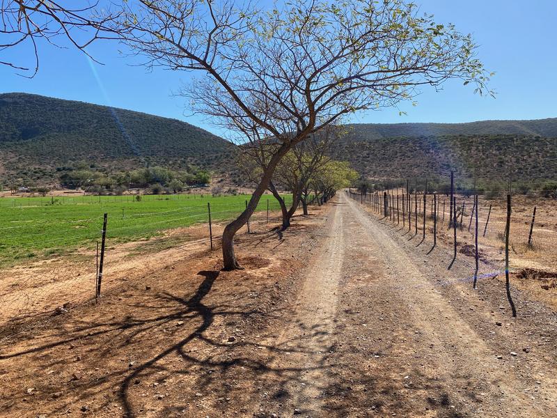 0 Bedroom Property for Sale in Kirkwood Eastern Cape